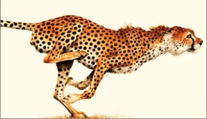 Accelerate! ~ Or Be&nbsp;Eaten