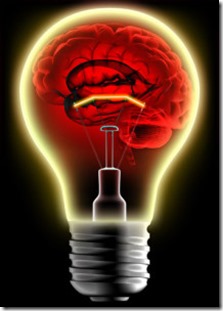 Brain-Lightbulb1-214x300